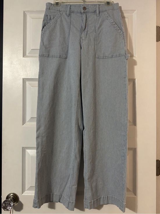 American Eagle Outfitters Pants - American eagle Light Blue Pinstripe Wide Leg Carpenter Pants size 4